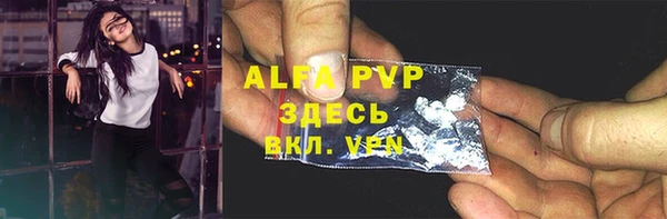 стаф Алексеевка