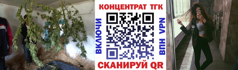 OMG маркетплейс  Злынка  Дистиллят ТГК концентрат  магазин продажи  